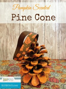 Pumpkin Scented Pine Cone