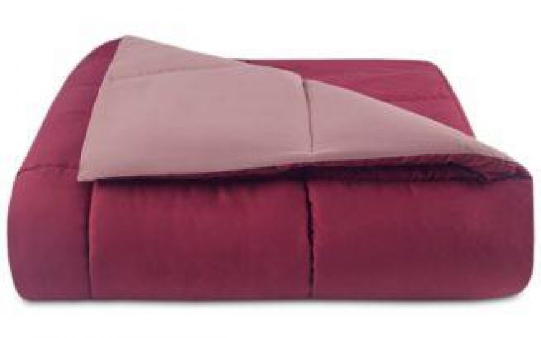 Martha Stewart Reversible Down Alternative Comforters only $19.99